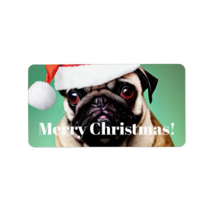 Étiquette Carlin Chien Noël