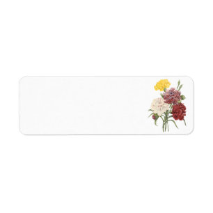 Étiquette carnation(Dianthus sp.) par Redouté