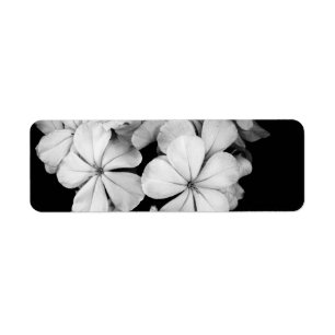 Étiquette carte postale en noir et blanc
