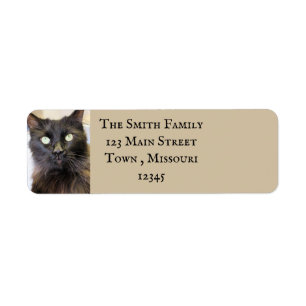 Étiquette Cat