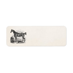 Étiquette Cavalier vintage de cheval de pur sang