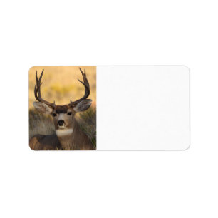 Étiquette cerfs communs