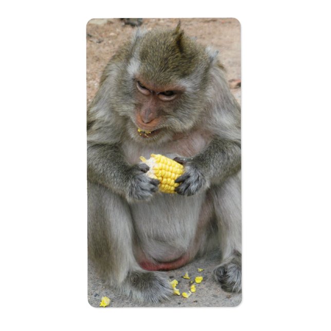 Étiquette C'est à moi ! ! ... Singe Macaque thaïlandais sauv (Devant)