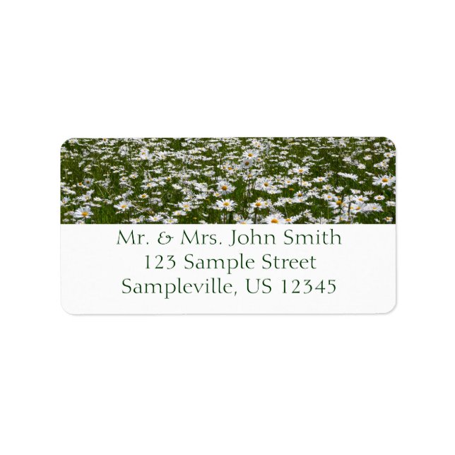 Étiquette Champ de marguerites Fleurs sauvages de l'Alaska (Devant)