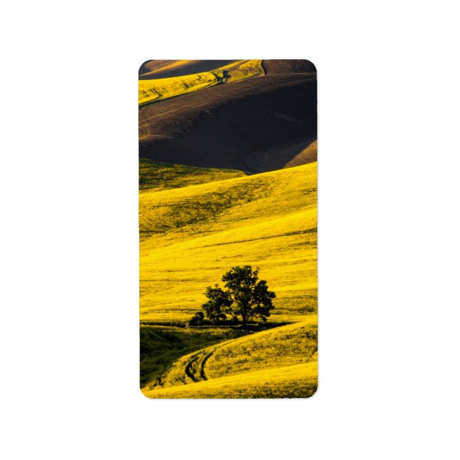 Étiquette Champ de prairie jaune dans le vent (Devant)