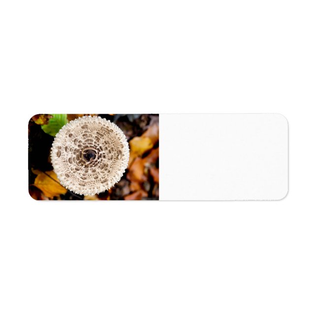 Étiquette Champagne (Devant)