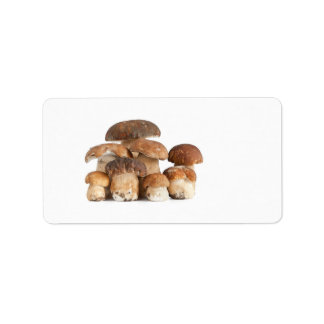 Étiquette Champignon de Boletus