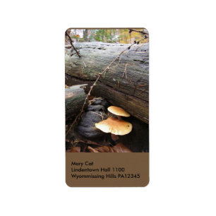 Étiquette Champignons #3 de forêt