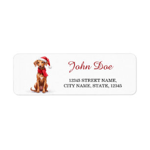 Étiquette Chapeau de Noël de chien Vizsla Adresse de retour