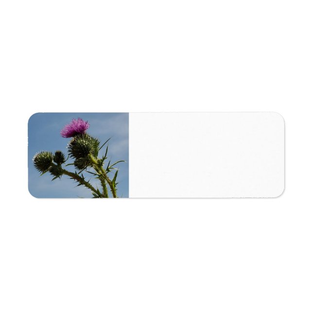 Étiquette Chardon (Devant)