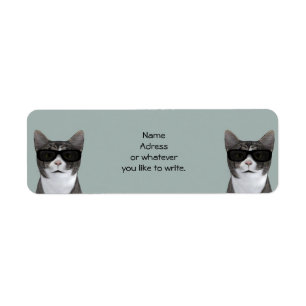 Étiquette Chat cool Avec Lunettes De Soleil Noir