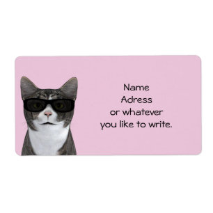 Étiquette Chat cool Avec Lunettes De Soleil Noir