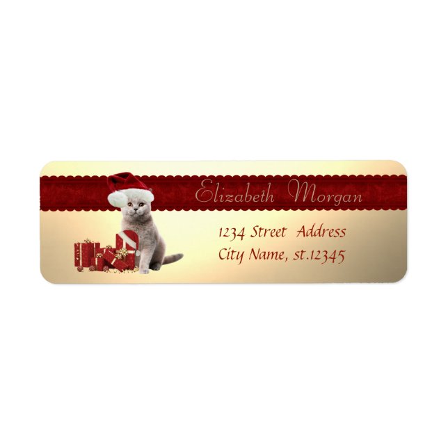 Étiquette Chat de Style Avec Chapeau de Père Noël,Cadeaux de (Devant)