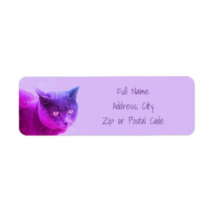 Étiquette Chat Kitty Violet