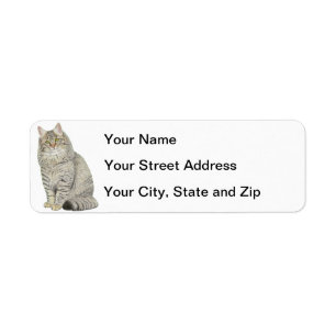 Étiquette Chat Longhair Tabby
