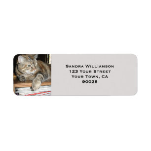 Étiquette Chat mignon