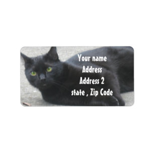 Étiquette Chat noir