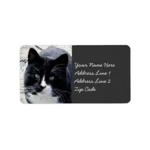 Étiquette Chat noir de Tom avec les taches blanches