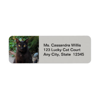 Étiquette Chat noir en attente patiente d'étiquettes d'adres