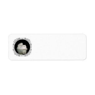 Étiquette Chat Persan aux Yeux Vert Jade