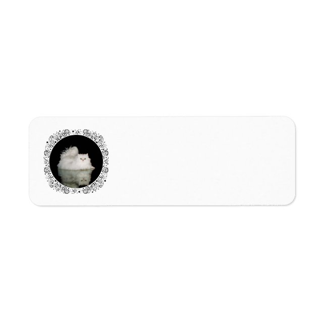 Étiquette Chat Persan aux Yeux Vert Jade (Devant)