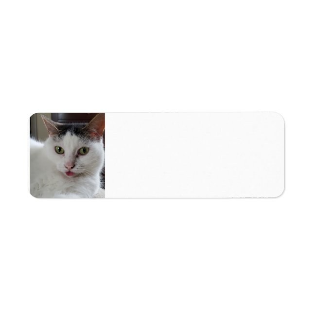 Étiquette Chat qui sort la langue (Devant)