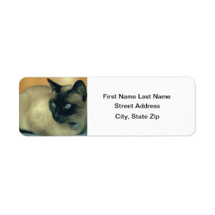 Étiquette Chat siamois