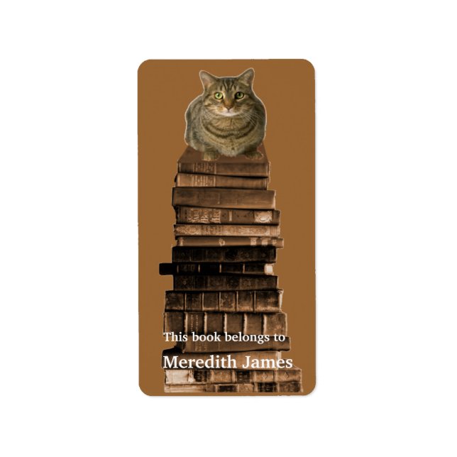 Étiquette Chat sur pile de livres Plaque de livres (Devant)