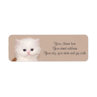 Étiquette Chaton persan blanc