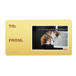 Étiquette Chats Lol avec USB