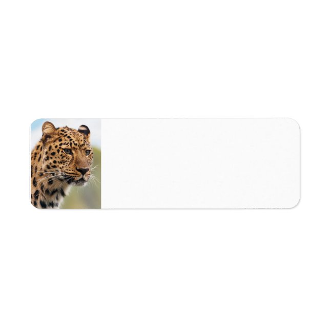 Étiquette Chats sauvages du léopard (Devant)