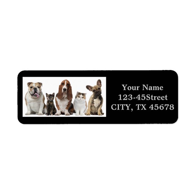 Étiquette chatte à cheveux court amis basset hound taureau c (Devant)