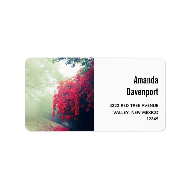 Étiquette Chemins de fer Misty Photo Pittoresque (Devant)