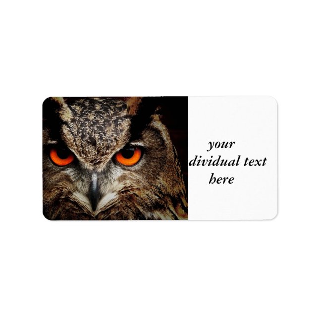 Étiquette chercheurs cherchant des chouettes (Devant)