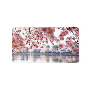 Étiquette Cherry Blossoms