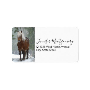 Étiquette Cheval Brown dans une forêt d'hiver avec chute de