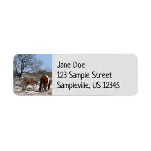 Étiquette Cheval de mère et de bébé à Assateague