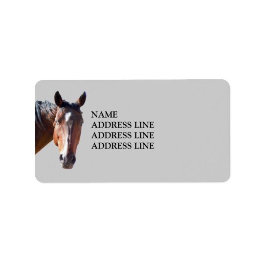 Étiquette Cheval quart américain - adresse de retour