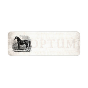 Étiquette Cheval vintage de 1800s - modèle de cavalier de
