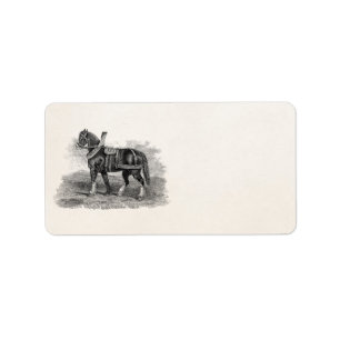 Étiquette Cheval vintage d'illustration d'agriculture de