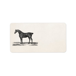 Étiquette Chevaux anglais de chasse de cheval de chasseur de