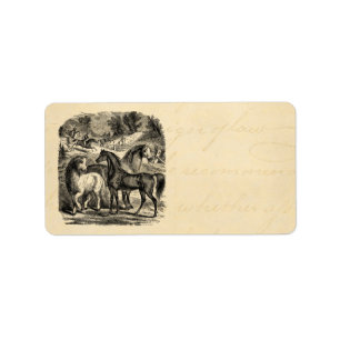Étiquette Chevaux des années 1800 vintages Arabian Cart Coss