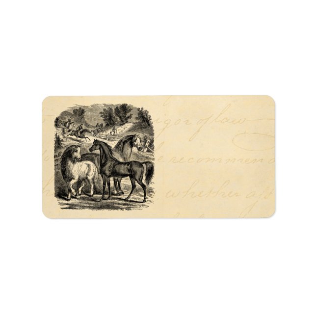 Étiquette Chevaux des années 1800 vintages Arabian Cart Coss (Devant)