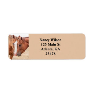 Étiquette Chevaux étourdissant dans un pâturage