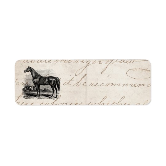 Étiquette Chevaux vintages de pur sang de cheval de course