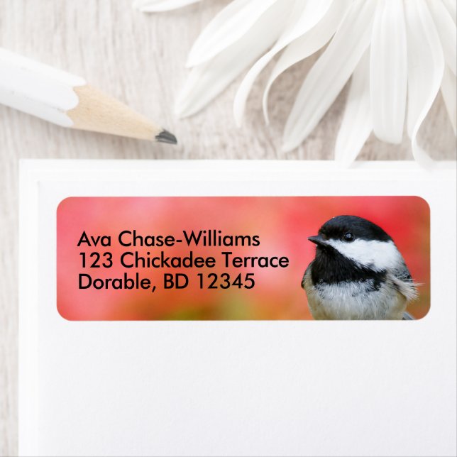Étiquette Chickadee Songbird à carreaux noirs sur pommier (En situation)
