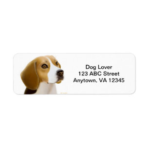 Étiquette Chien amical de beagle personnalisable