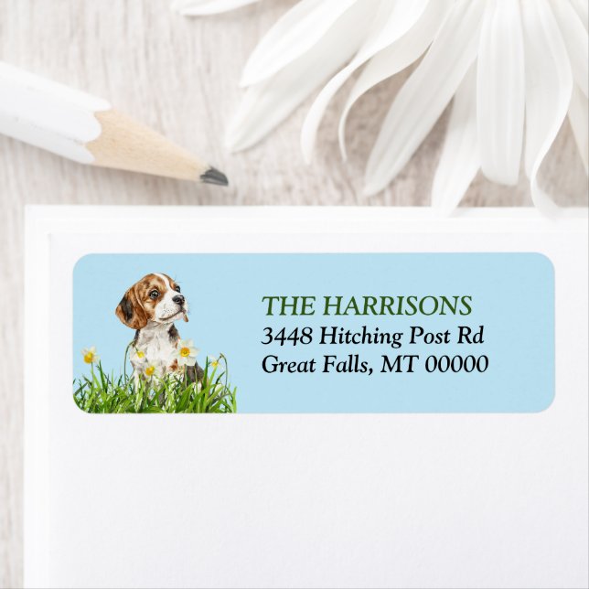 Étiquette Chien Beagle de Jardin Daffodique Chien Chien Chie (En situation)