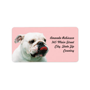 Étiquette Chien blanc mignon Bulldog