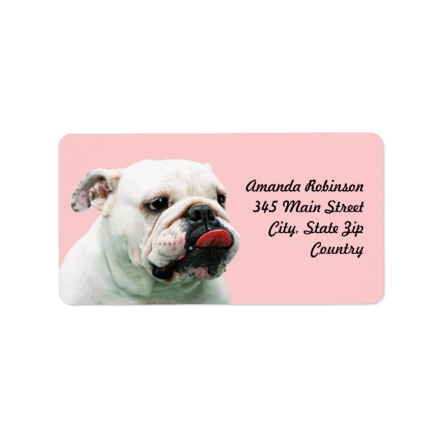 Étiquette Chien blanc mignon Bulldog (Devant)